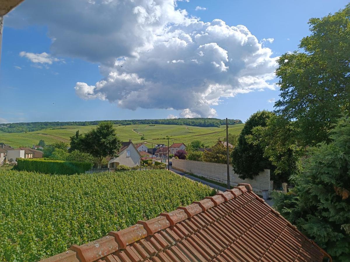Gite Independant Diz'Enreves Au Coeur Des Vignes Dizy Exterior foto